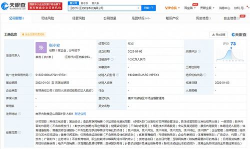 蘇寧布局數字科技新賽道 成立科技公司，涉足演出經紀與數字內容服務